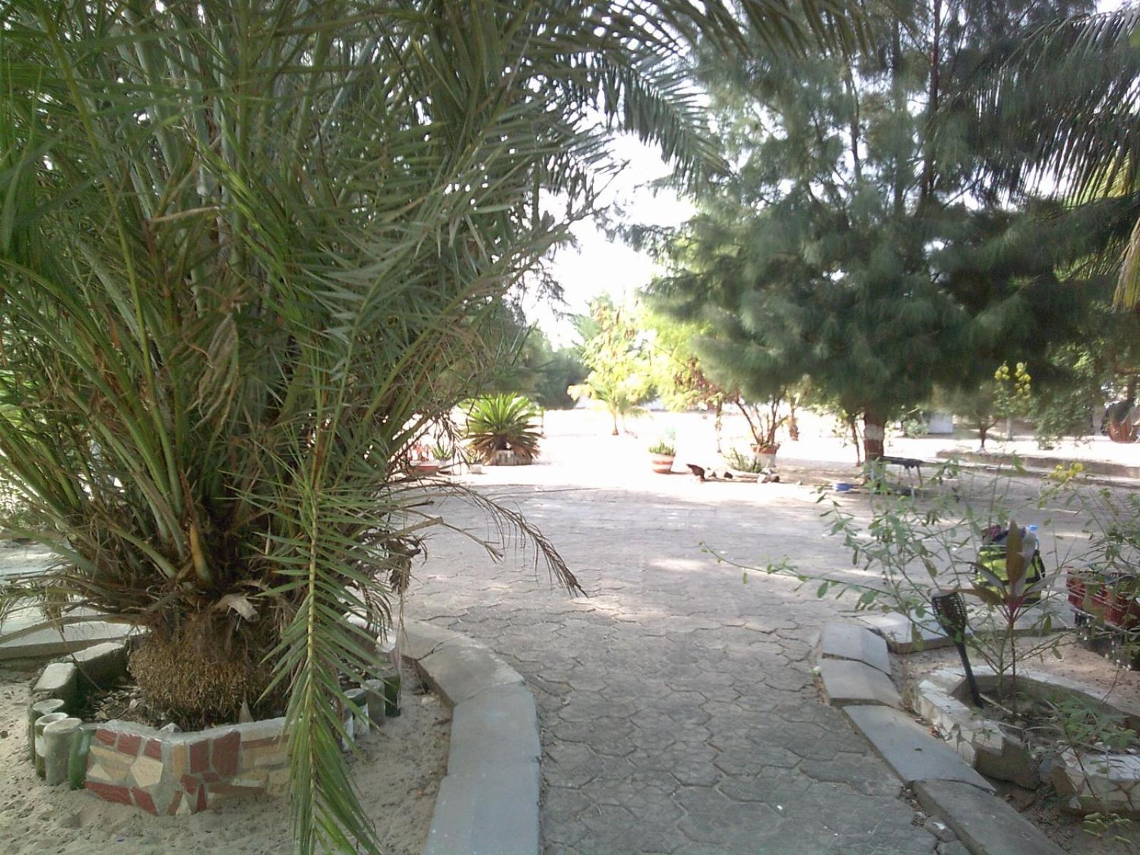 Mangrove Beach Sanyang 외부 사진