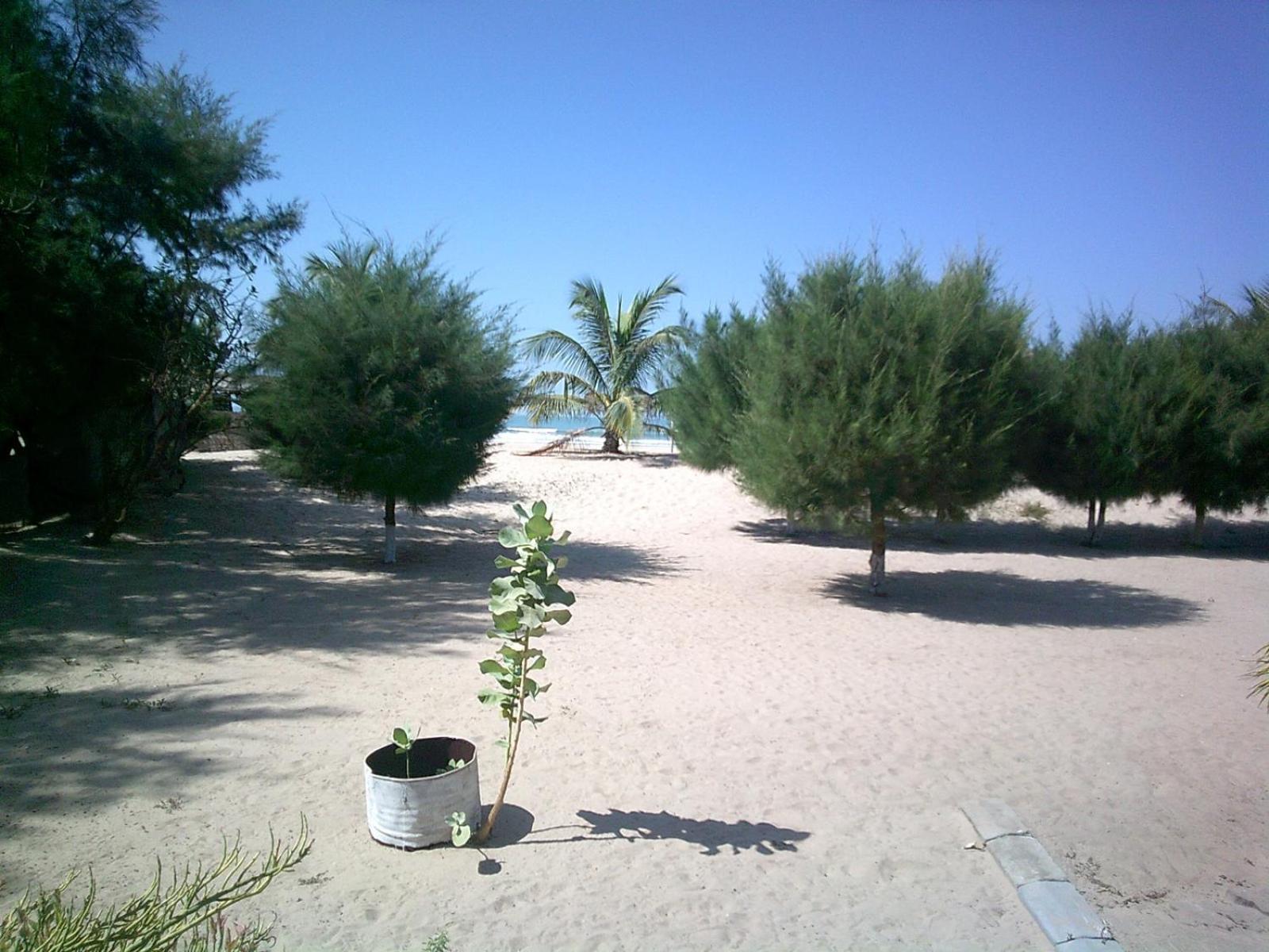 Mangrove Beach Sanyang 외부 사진