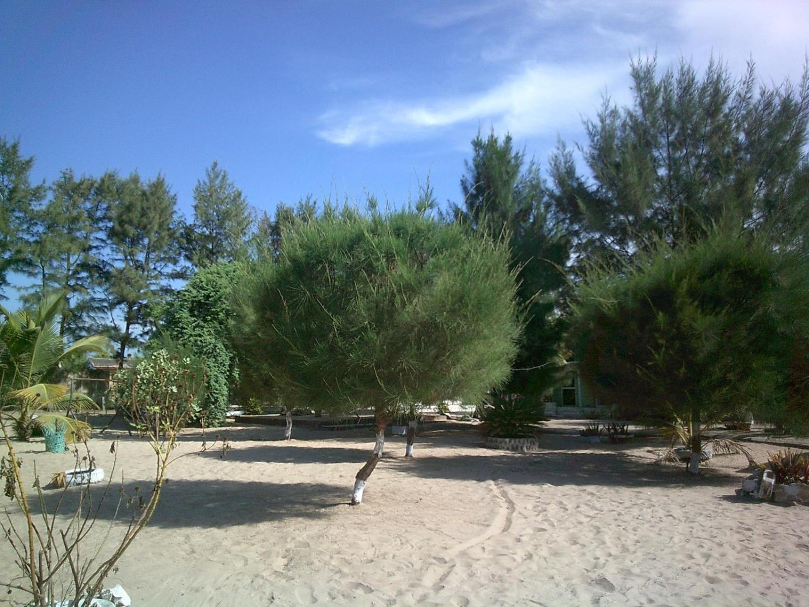 Mangrove Beach Sanyang 외부 사진