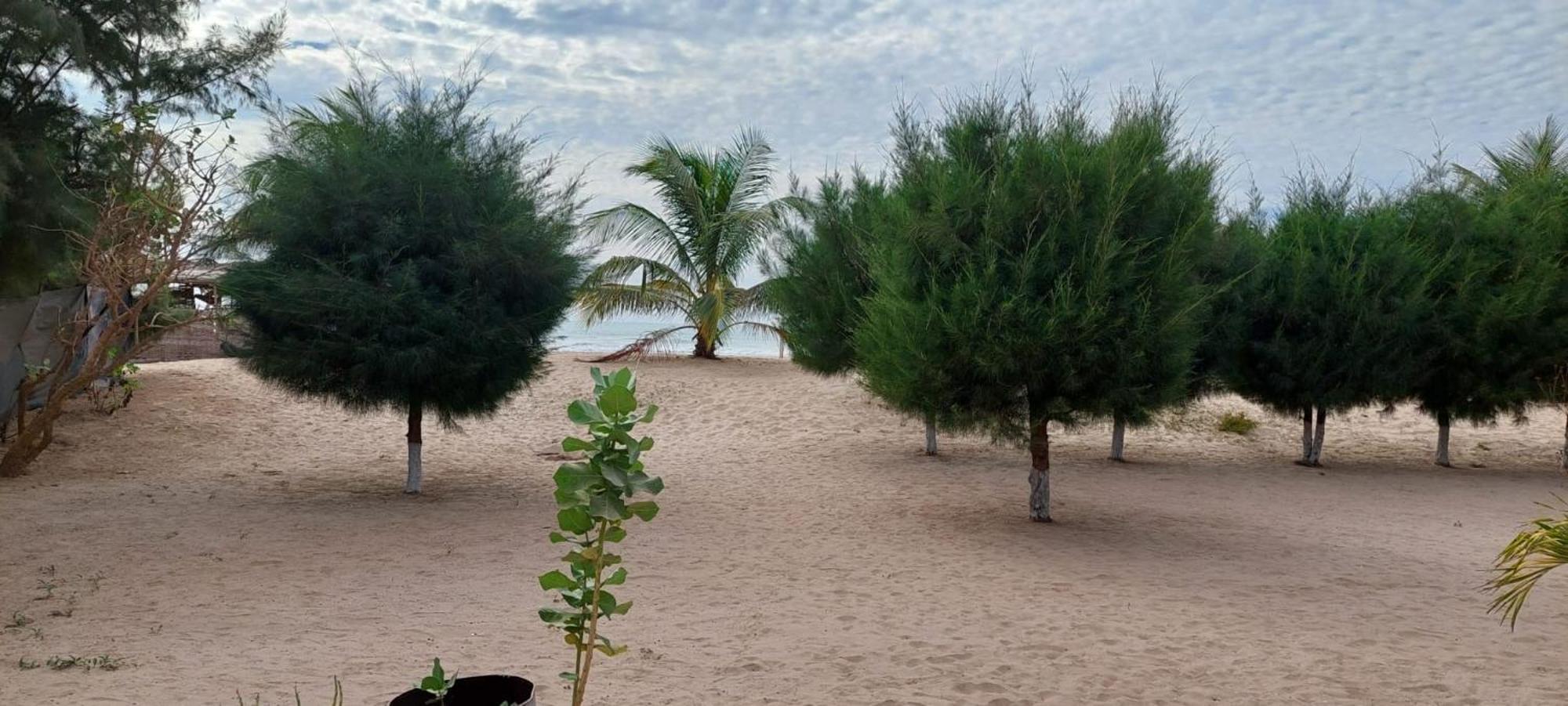 Mangrove Beach Sanyang 외부 사진