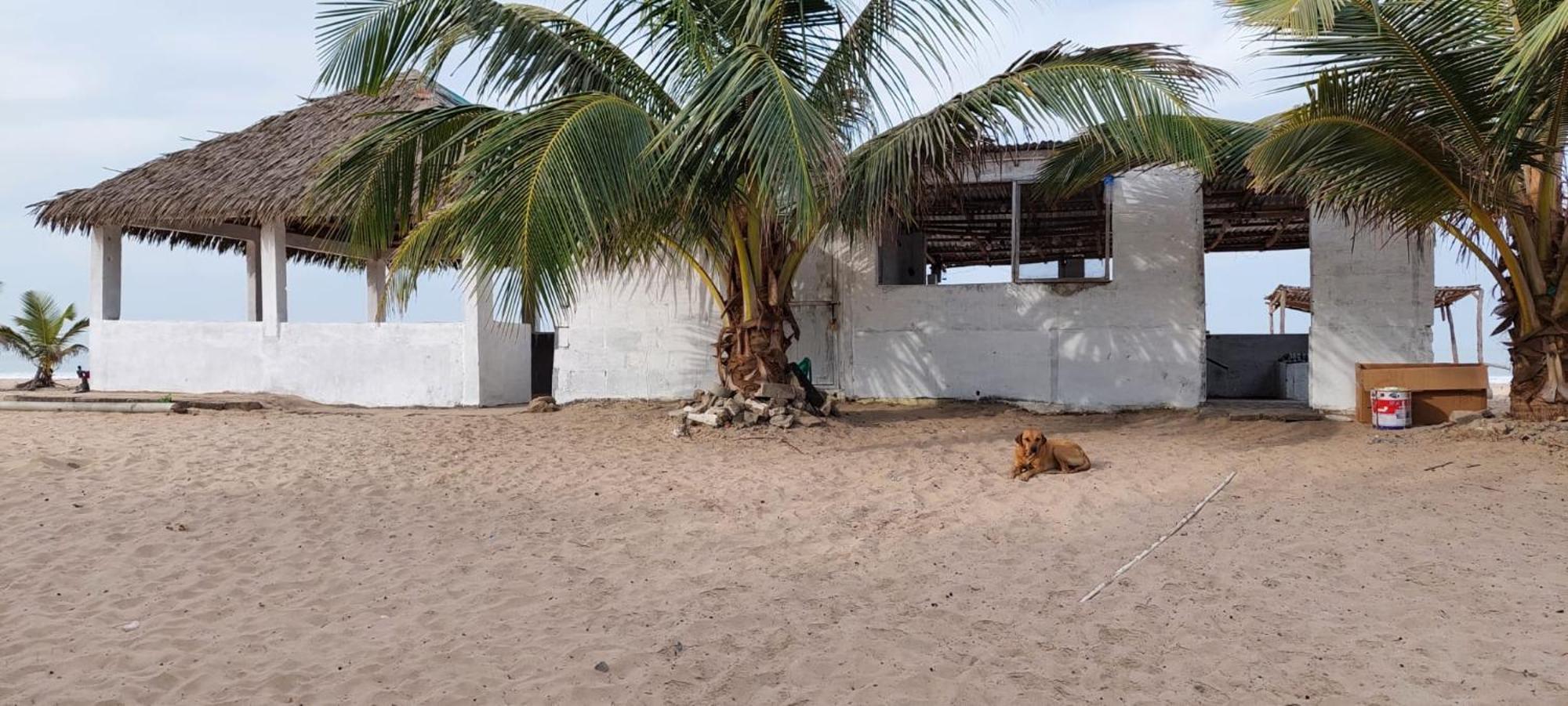 Mangrove Beach Sanyang 외부 사진