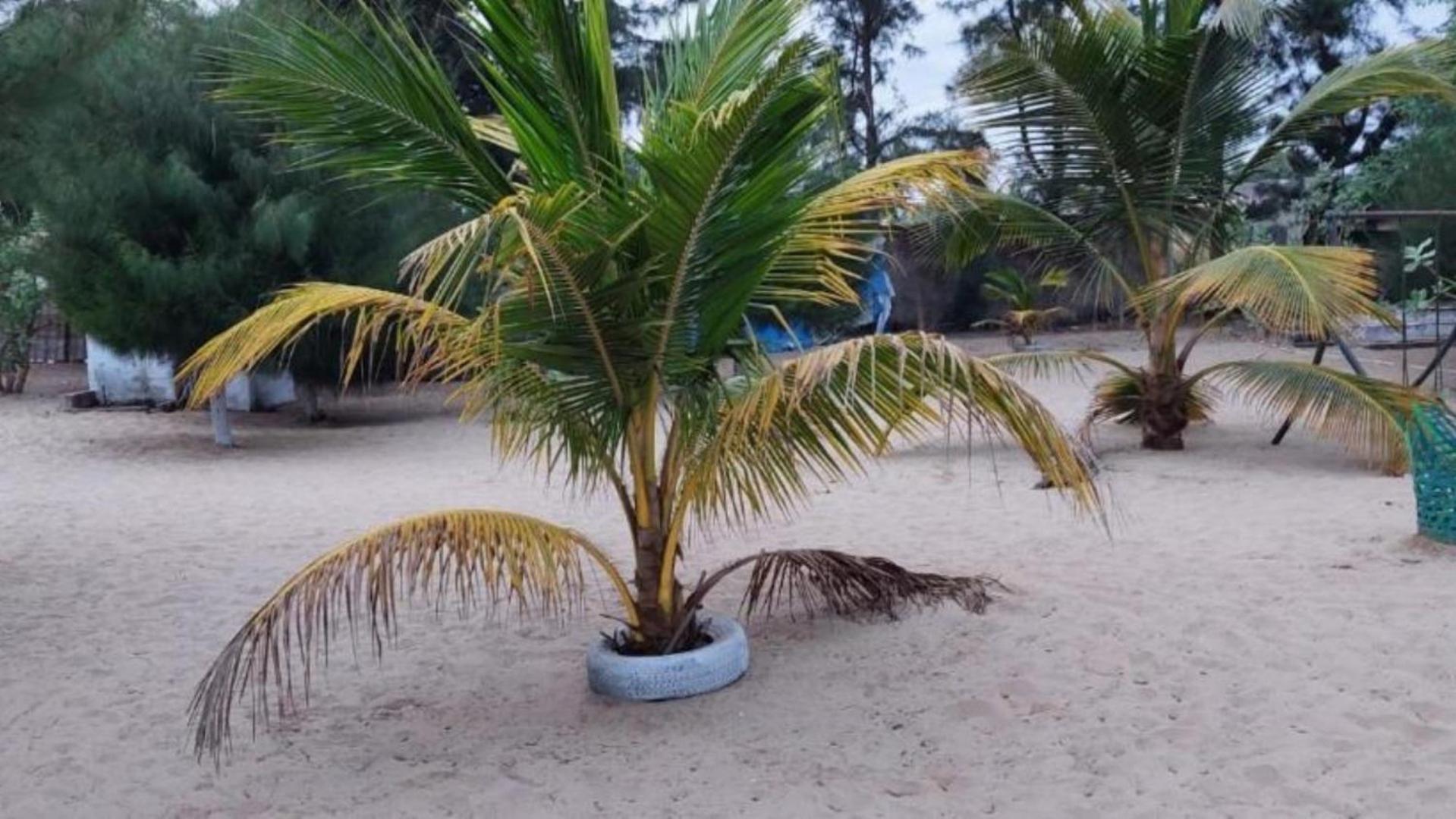 Mangrove Beach Sanyang 외부 사진