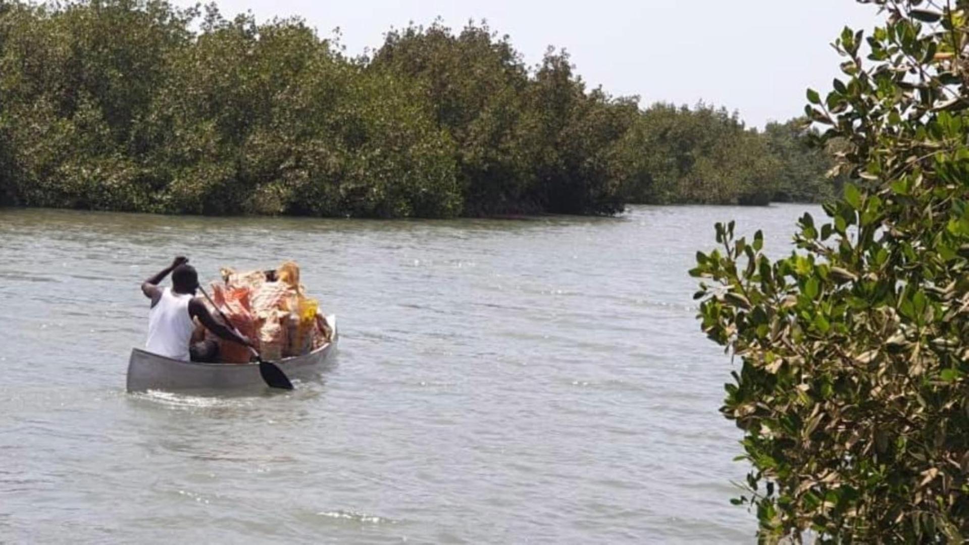Mangrove Beach Sanyang 외부 사진